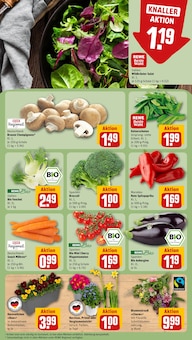 Champignons im REWE Prospekt "Dein Markt" mit 16 Seiten (Essen)