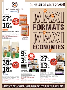 Prospectus E.Leclerc de la semaine "MAXI FORMATS, MAXI ÉCONOMIES" avec 1 pages, valide du 19/08/2025 au 30/08/2025 pour Lamballe et alentours