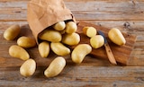 Speisekartoffeln von REWE Beste Wahl für 2,49 € bei REWE im Angebot Speisekartoffeln von REWE Beste Wahl im aktuellen REWE Prospekt