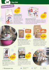 Promos Royal Canin dans le catalogue "Des promos à faire fondre les prix !" de Maxi Zoo à la page 4 Promos Royal Canin dans le catalogue "Des promos à faire fondre les prix !" de Maxi Zoo à la page 4