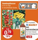 Angebot im V-Markt Rottenburg (Laaber) Prospekt V-Markt Rottenburg (Laaber) Prospekt mit im Angebot für 0,79 €