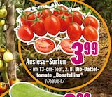 Auslese-Sorten für 3,99 € bei Hornbach im Angebot Auslese-Sorten im aktuellen Hornbach Prospekt