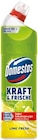 WC-Gel Kraft & Frische Lime Fresh von Domestos für 1,99 € bei Netto mit dem Scottie im Angebot WC-Gel Kraft & Frische Lime Fresh von Domestos im aktuellen Netto mit dem Scottie Prospekt
