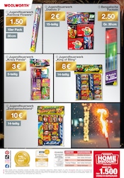 Aktueller Woolworth Prospekt mit Jugendfeuerwerk, "Aktuelle Angebote", Seite 20