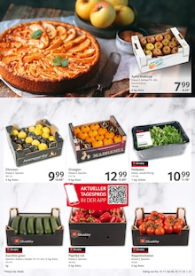 Tomaten im aktuellen Selgros Prospekt (Krefeld) Tomaten im Selgros Prospekt "cash & carry" mit 28 Seiten (Krefeld)