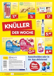 Waschmittel im Netto Marken-Discount Prospekt in Bautzen Aktueller Netto Marken-Discount Prospekt mit Waschmittel, "Aktuelle Angebote", Seite 2