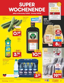 Katzenfutter im Netto Marken-Discount Prospekt "Aktuelle Angebote" mit 55 Seiten (Hildesheim)
