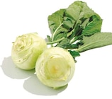 Aktuelles Kohlrabi Angebot bei Netto mit dem Scottie in Berlin ab 0,49 €