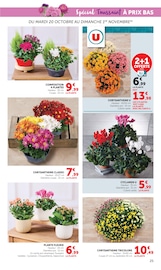Promos Chrysanthèmes dans le catalogue "Halloween À PRIX BAS" de U Express Chrysanthèmes en promo dans le catalogue U Express à la page 25