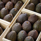 Avocat affiné à 1,95 € dans le catalogue Netto