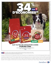 Croquettes Chien Angebote im Prospekt "ANIMALERIE" von Carrefour auf Seite 2