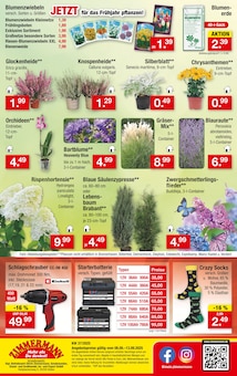 Blumenerde im Zimmermann Prospekt "Mehr als Du denkst!" mit 10 Seiten (Hannover)