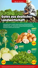 Gemüse im Penny Prospekt in Pulheim Aktueller Penny Prospekt mit Gemüse, "Wer günstig will, muss Penny.", Seite 4