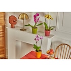 Orchidée Phalaenopsis en promo chez Carrefour Market Montpellier à 9,99 €