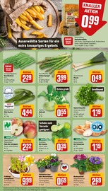 Blumen im REWE Prospekt in Germering Aktueller REWE Prospekt mit Blumen, "Dein Markt", Seite 7