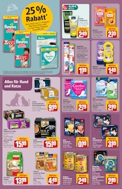 Pampers im REWE Prospekt in Jena Aktueller REWE Prospekt mit Pampers, "Dein Markt", Seite 30