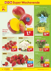 Mango im Netto Marken-Discount Prospekt in Remscheid Aktueller Netto Marken-Discount Prospekt mit Mango, "Aktuelle Angebote", Seite 44