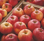 Pommes en promo chez Netto Pommes dans le catalogue Netto