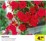 Angebot im Hagebaumarkt Brunnthal Prospekt Hagebaumarkt Brunnthal Prospekt mit im Angebot für 4,99 €