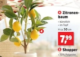 Zitronenbaum Angebote bei Thomas Philipps Wolfenbüttel für 7,99 €