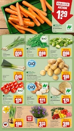 REWE Dekoration im Prospekt 