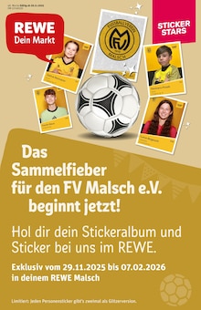 Aktueller REWE Malsch Prospekt "Dein Markt" mit 34 Seiten