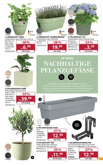 Blumentopf im Dehner Garten-Center Prospekt "Am 10. Mai ist Muttertag!" mit 18 Seiten (Essen)