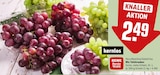 Mix Tafeltrauben im Angebot bei REWE in Kleve Mix Tafeltrauben Angebote von REWE Beste Wahl bei REWE Kleve für 2,49 €