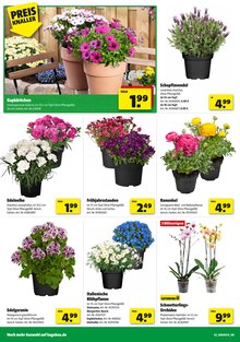 Hagebaumarkt Prospekt der KW 13 "So günstig geht das!" Aktueller Hagebaumarkt Prospekt "So günstig geht das!" Seite 2 von 20 Seiten