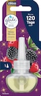 Lufterfrischer Duftstecker Winter Berries Nachfüllpack im dm-drogerie markt Prospekt Lufterfrischer Duftstecker Winter Berries Nachfüllpack von glade im aktuellen dm-drogerie markt Prospekt für 4,25 €