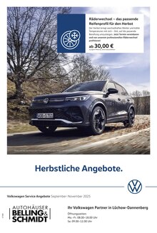 Aktueller Volkswagen Dannenberg Prospekt "Herbstliche Angebote." mit 1 Seite