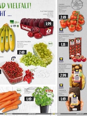 Pflanzen im EDEKA Prospekt in Ratingen Aktueller EDEKA Prospekt mit Pflanzen, "Aktuelle Angebote", Seite 9