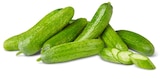 Penny Bückeburg - Bio-Snackgurken Angebot im Prospekt Bio-Snackgurken bei Penny im Bückeburg Prospekt für 1,11 €