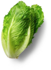Aktuelles Salarico-Salat Angebot bei Kaufland in Duisburg ab 0,99 €