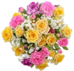 Nelken-Sprayrosenstrauß bei Kaufland im Worms Prospekt für 5,99 €