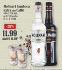 Sambuca extra im Angebot bei EDEKA in Hilden Sambuca extra Angebote von Molinari bei EDEKA Hilden für 11,99 €