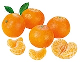 Mandarinen im aktuellen REWE Prospekt für 2,99 €