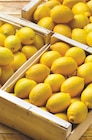 Citron Jaune dans le catalogue Netto