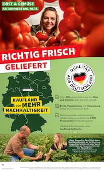 Kartoffeln im Kaufland Prospekt "Aktuelle Angebote" mit 52 Seiten (Dresden)