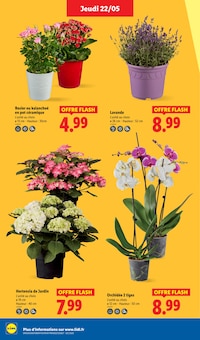 Prospectus Lidl en cours, "Moins Cher !", 82 pages