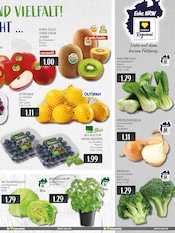 Pflanzen im EDEKA Prospekt in Ratingen Aktueller EDEKA Prospekt mit Pflanzen, "Aktuelle Angebote", Seite 9