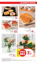 Plante Verte en promo dans le catalogue Super U à la page 29