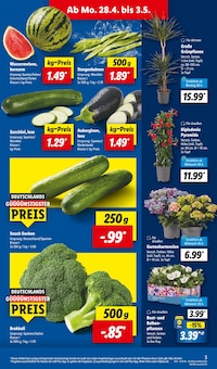 Zucchini im Lidl Prospekt "LIDL LOHNT SICH" mit 61 Seiten (Wuppertal)