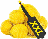 Zitronen von  im aktuellen Netto Marken-Discount Prospekt für 2,49 €