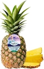 Aktuelle Ananas Angebote bei REWE in Duisburg Aktuelles Ananas »extra sweet« Angebot bei REWE in Duisburg ab 2,99 €