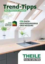 Holz-Zentrum Theile Prospekt für Strehla: "Trend-Tipps FÜR DIE ENERGETISCHE SANIERUNG", 9 Seiten, 18.10.2024 - 27.10.2024