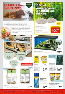 Katzenfutter im Hellweg Prospekt "Ihr Projekt im Herbst!" mit 24 Seiten (Berlin)