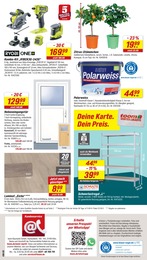 toom Baumarkt Laminat im Prospekt 