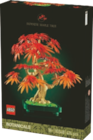 Bonsaï d’érable rouge du japon en promo chez La Grande Récré Bonsaï d’érable rouge du japon dans le catalogue La Grande Récré