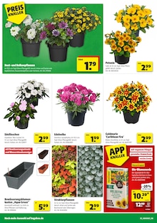 Aktueller Hagebaumarkt Prospekt "SCHNAPP DIR DEIN SUPERBUNDLE" Aktueller Hagebaumarkt Prospekt